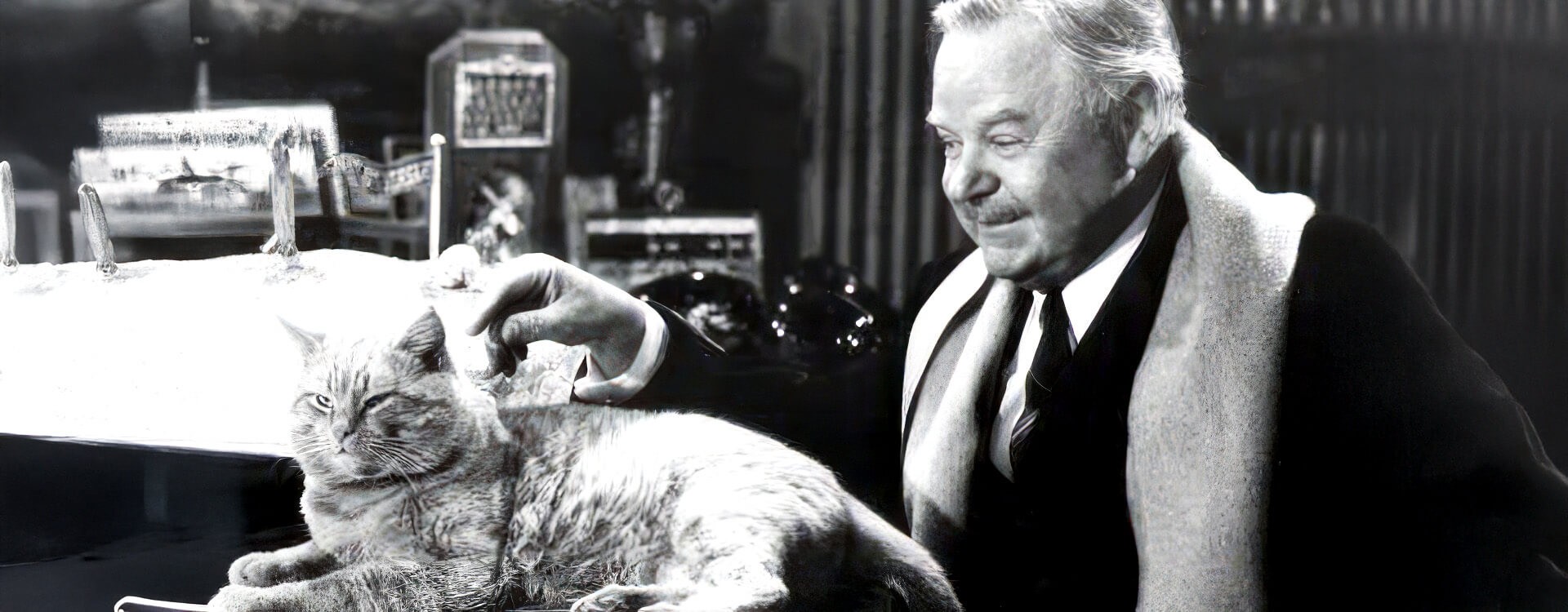 Il gatto milionario