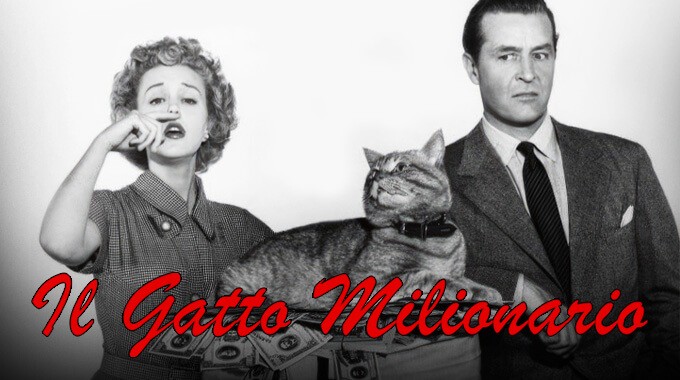 locandina Il gatto milionario
