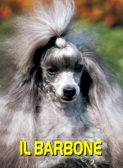 locandina Barbone