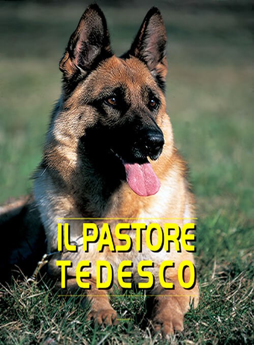 locandina Pastore Tedesco