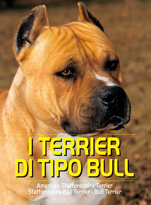 locandina Terrier di tipo Bull