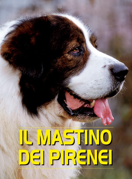Mastino dei Pirenei