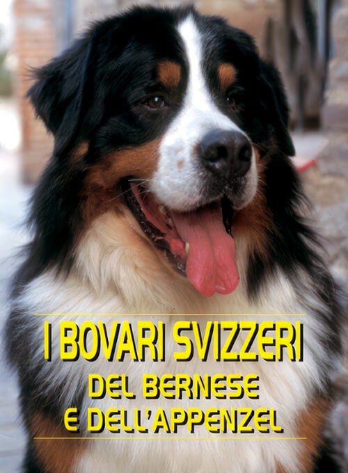 Bovari Svizzeri
