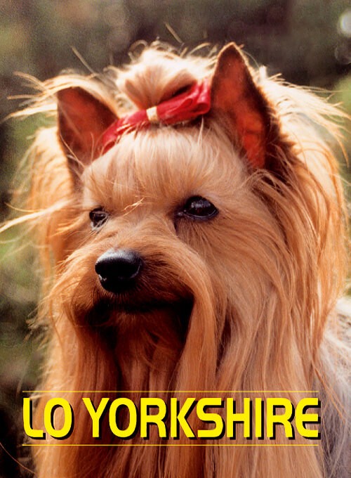 Yorkshire