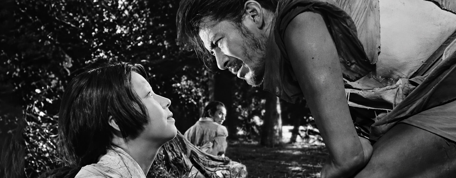 Rashomon