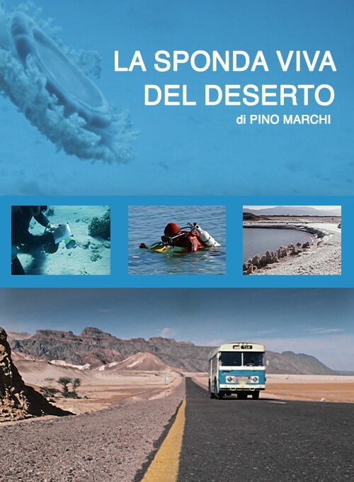 locandina La sponda viva del deserto