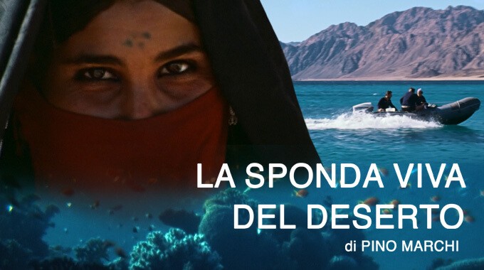 locandina La sponda viva del deserto