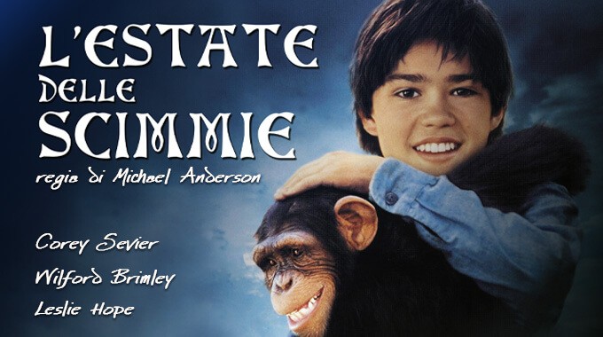 locandina L'estate delle scimmie